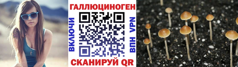 Псилоцибиновые грибы прущие грибы  Купить закладки  Абакан 