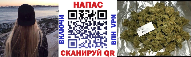 Купить закладки  Абакан  Конопля сатива 